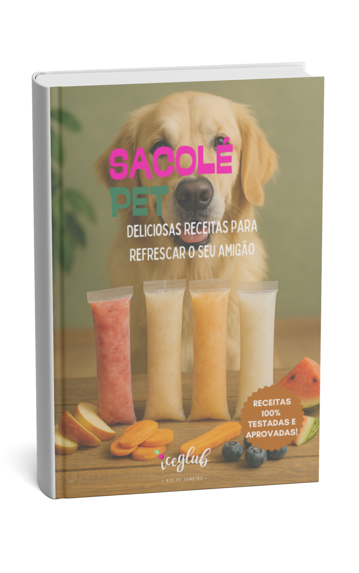 SACOLÉ GOURMET - DELICIOSAS RECEITAS PARA REFRESCAR O SEU VERÃO